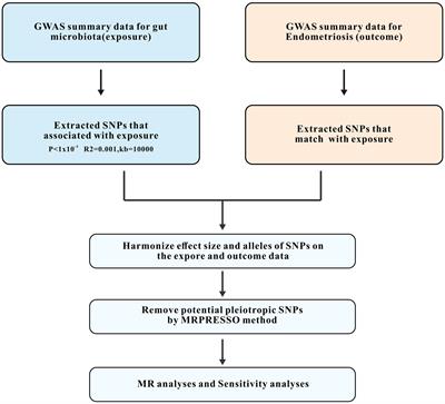 Unraveling the relationship between gut microbiota and site-specific endometriosis: a Mendelian randomization analysis